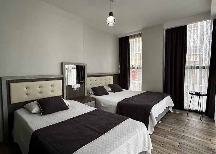 Hotel Comfort Basaran 2*