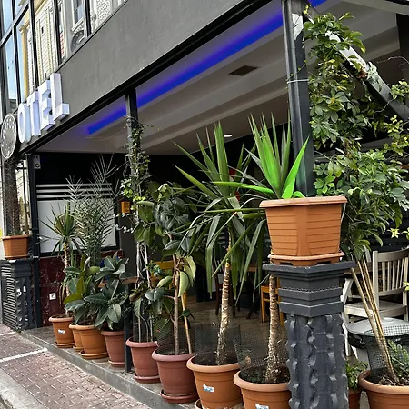 Comfort Başaran Otel