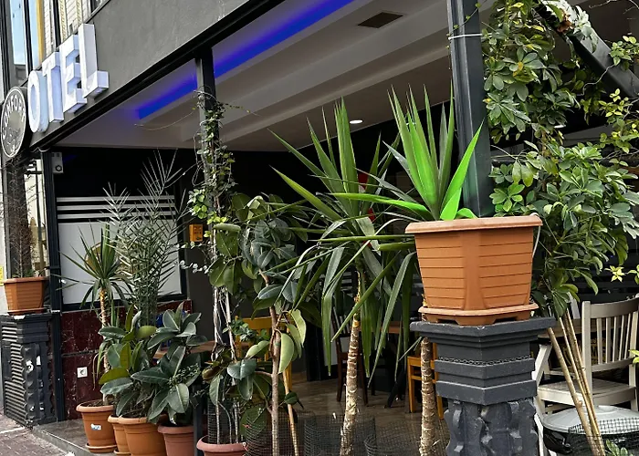 Comfort Basaran Hotell