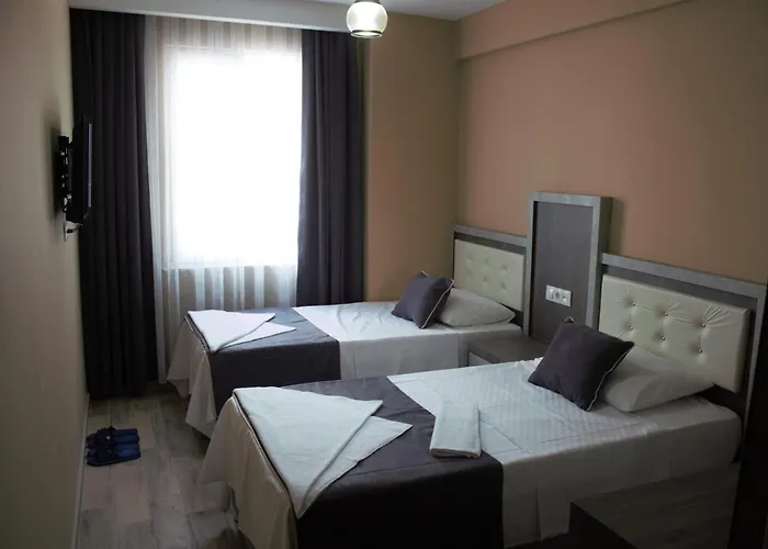Отель Comfort Basaran 2*