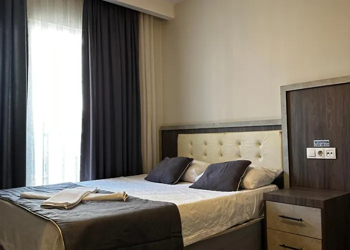 Отель Comfort Basaran 2*